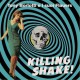 TONY BORLOTTI E I SUOI FLAUERS-KILLING SHAKE (LP)
