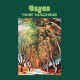 DZYAN-TIME MACHINE (LP)