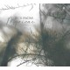 LUCA FALOMI-MYRICAE (CD)