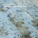 ARTURO STALTERI-THE SNOW IS DANCING (CD)
