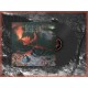 FER DE LANCE-FIRES ON THE MOUNTAINSIDE (LP)