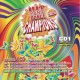 V/A-HIT MANIA DANCE CHAMPIONS 2025 (4CD)
