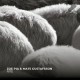 ZOE PIA & MATS GUSTAFSSON-RITE (CD)