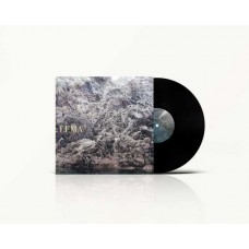 PAOLO ANGELI-LEMA (LP)