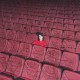 YAWNERS-SUPERBUCLE (CD)