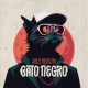 JAVI MEDINA-GATO NEGRO (CD)