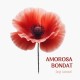 SERGI CARBONELL-AMOROSA BONDAT (CD)