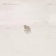 SOULBREAKER COMPANY-GRACELESS (2LP)