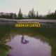 RADAR STATION-BIRDS OF CHOICE (LP)