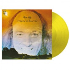 TERRY RILEY-A RAINBOW IN CURVED AIR -COLOURED- (LP)