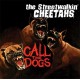 STREETWALKIN' CHEETAHS-CALL THE DOGS (LP)