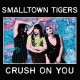 SMALLTOWN TIGERS-CRUSH ON YOU -COLOURED- (LP)