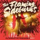 FLAMING SIDEBURNS-ALTERNATIVE PASSAGES 07-17 (LP)