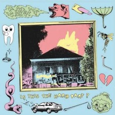 SOWT-IS THIS THE HARD PART? (LP)