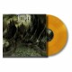ACCUSER-FORLORN DIVIDE -COLOURED- (LP)