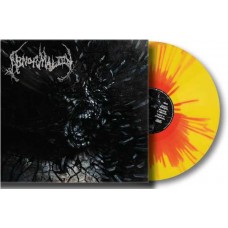 ABNORMALITY-MECHANISMS OF OMNISCIENCE -COLOURED_ (LP)