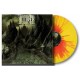 ACCUSER-FORLORN DIVIDE -COLOURED- (LP)