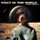 APOLLO JUNCTION-WHAT IN THE WORLD (CD)