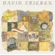 DAVID FRIESEN-CASTLES AND FLAGS (2CD)