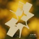 CATASTROPHE & CURE-IN THE WIND (LP)