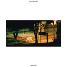 DAVID BRIDIE-ON KAREN'S PIANO (LP)