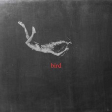 LOW ISLAND-BIRD (LP)