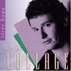STEVE HAUN-COLLAGE (CD)