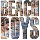 BEACH BOYS-BEACH BOYS (LP)