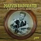 MARVIN RAINWATER-A WHOLE LOTTA MARVIN (CD)
