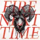 FIRE NEXT TIME-COLD HANDS (CD)