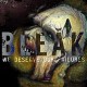 BLEAK-WE DESERVE OUR FAILURES (LP)