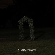 S.ARAW TRIO XI-GAZEBO EFFECT (LP)