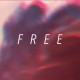 HUNDREDTH-FREE (CD)
