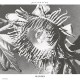 BLONDES-PERCUSSIONS (12")