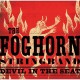 FOGHORN STRINGBAND-DEVIL IN THE SEAT (CD)