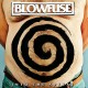 BLOWFUSE-INTO THE SPIRAL (CD)