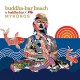V/A-BUDDHA BAR BEACH-MYKONOS (CD)