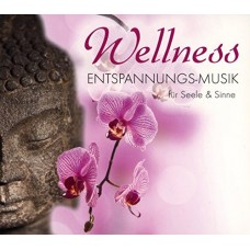 V/A-WELLNESS ENTSPANNUNGS.. (CD)