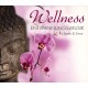 V/A-WELLNESS ENTSPANNUNGS.. (CD)
