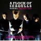 A FLOCK OF SEAGULLS-WISHING: THE VERY BEST OF (2CD)