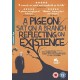 FILME-PIGEON SAT ON A BRANCH.. (DVD)