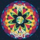 POLYVERSAL SOULS-INVISIBLE JOY (2LP)