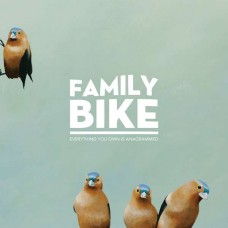 FAMILY BIKE-EVERYTHING YOU OWN IS.. (LP)