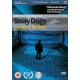 FILME-STRAY DOGS (DVD)