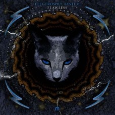 ELECTROSOUL SYSTEM-FLAWLESS (CD)
