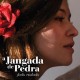 FADO VIOLADO-A JANGADA DE PEDRA (CD)