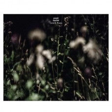 ANNELI DRECKER-ROCKS & STRAWS (LP)