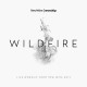 NEW WINE WORSHIP-WILDFIRE (CD)