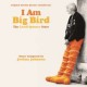 B.S.O. (BANDA SONORA ORIGINAL)-I AM BIG BIRD (CD)