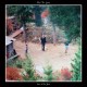 FELL TO LOW-LOW IN THE DUST (LP)